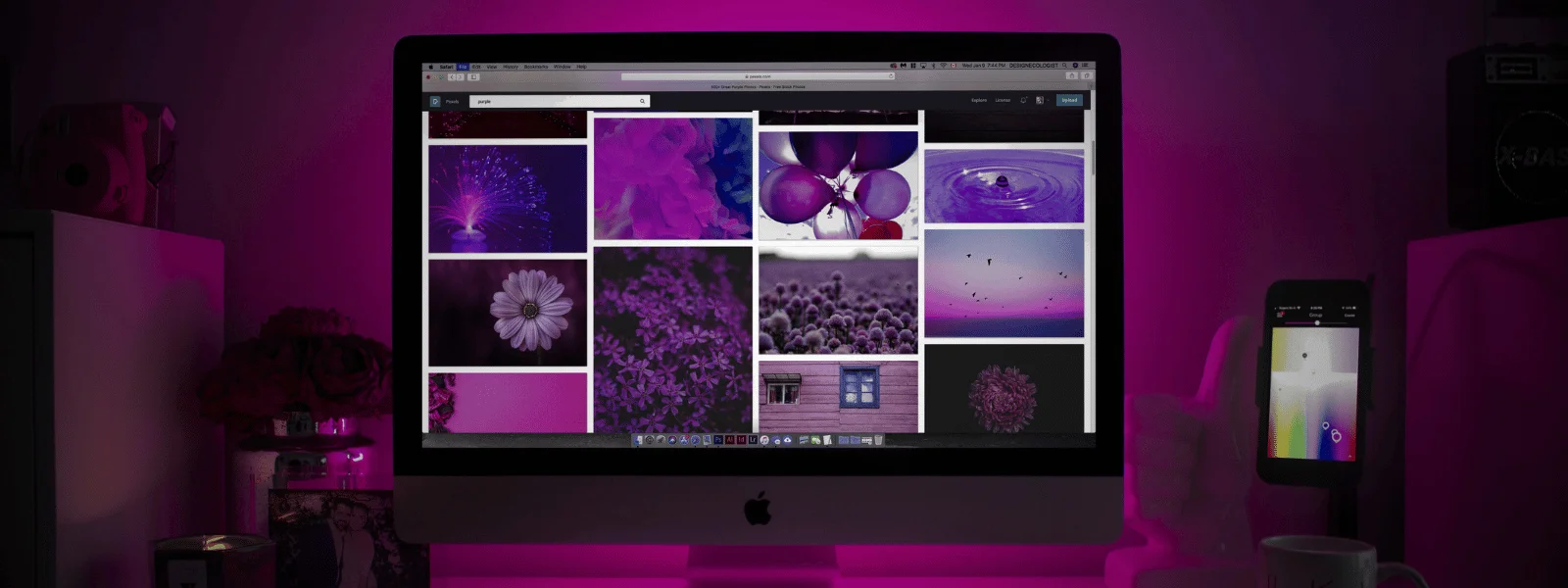 Website Design Auckland